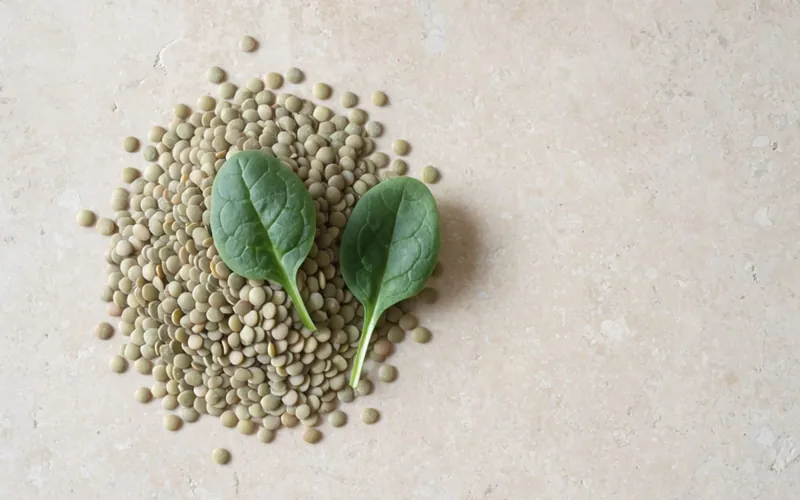 Petit tas de lentilles vertes et deux feuilles d’épinard sur une pierre claire, vus du dessus